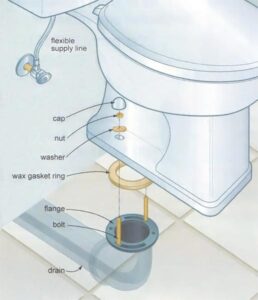 DIY Plumbing Replacing A Toilet Illustration